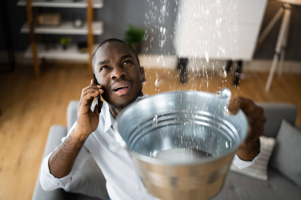 Best Flood damage cleanup  in Fort Leonard Wood, MO