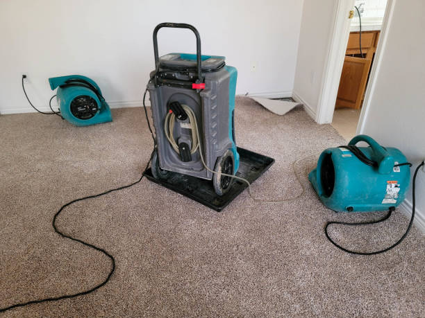 Carpet water damage restoration in MO