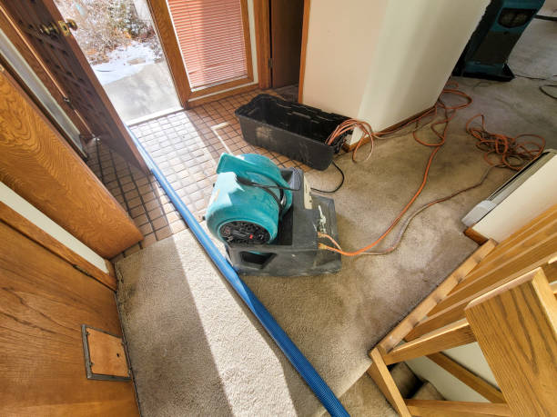 Best 24-hour water damage restoration  in Fort Leonard Wood, MO