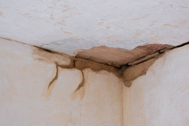 Best Water damage restoration near me  in Fort Leonard Wood, MO