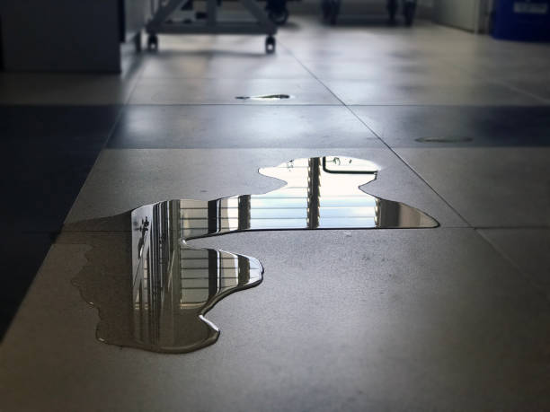 Best 24/7 water damage repair  in Fort Leonard Wood, MO