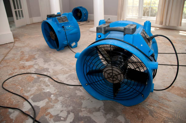 Best Carpet water damage restoration  in Fort Leonard Wood, MO