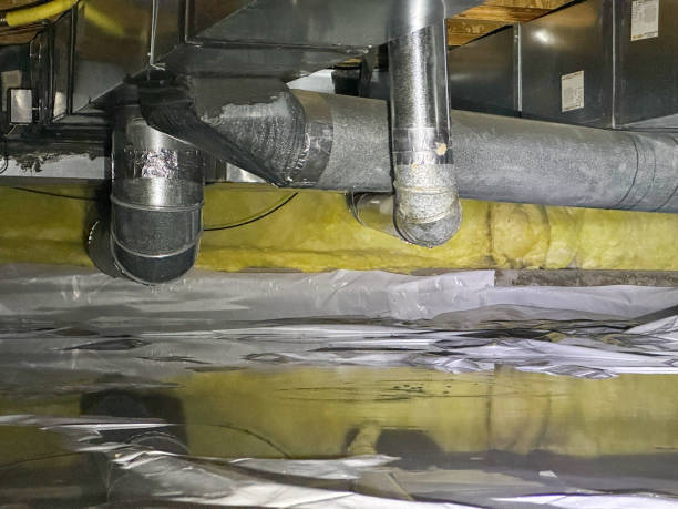 Best Basement water damage restoration  in Fort Leonard Wood, MO